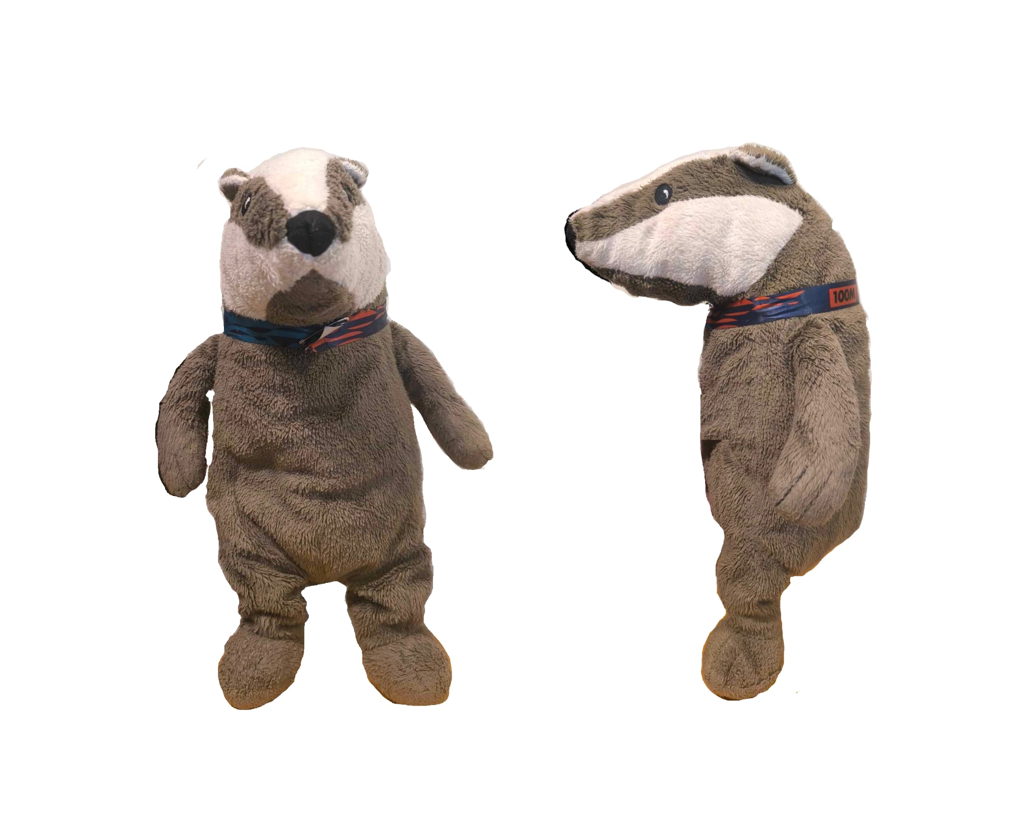 Asvos — Chief Executive Badger